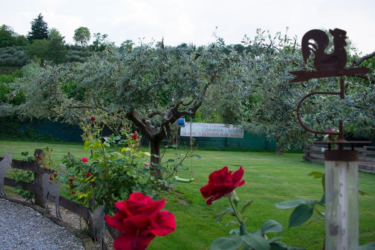 Villa Cascina Graziosa Lonato del Garda Exterior foto