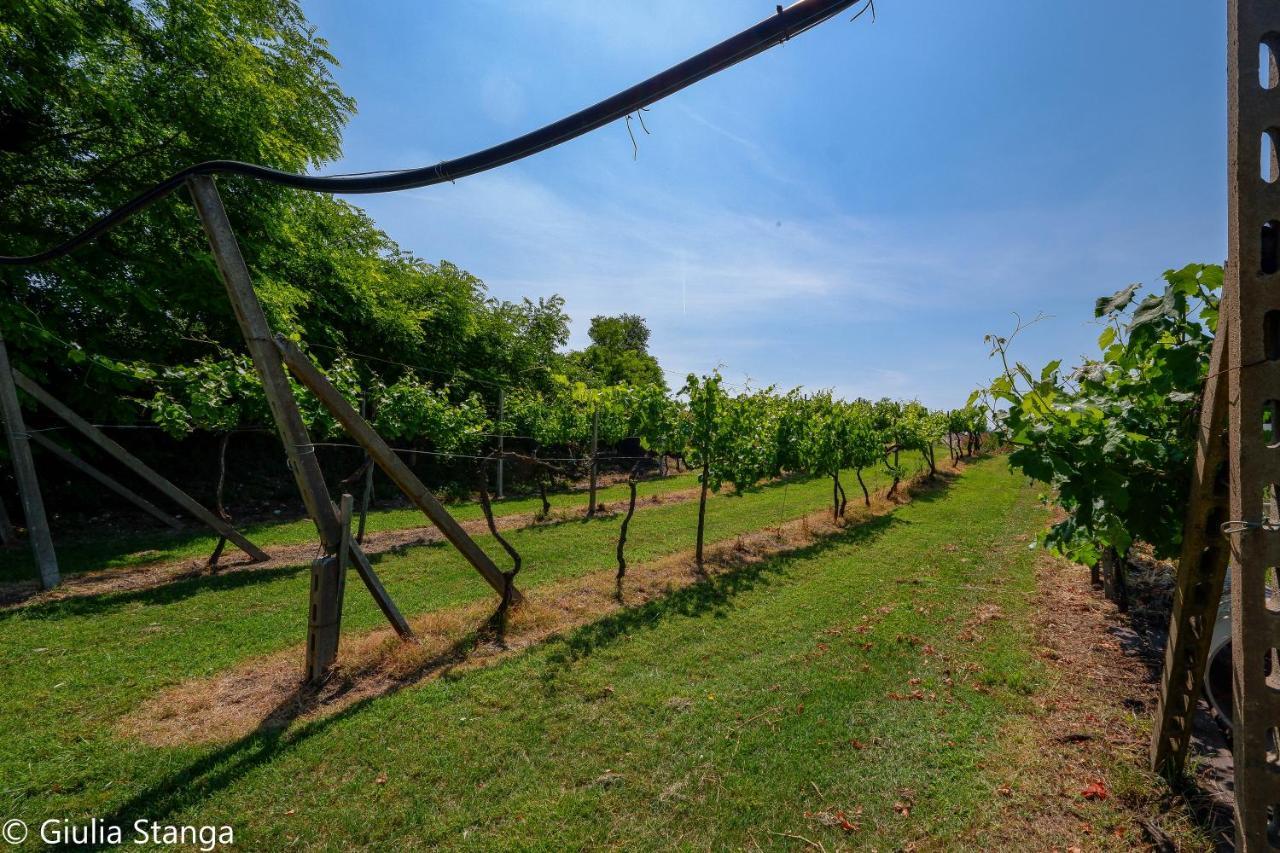 Villa Cascina Graziosa Lonato del Garda Exterior foto